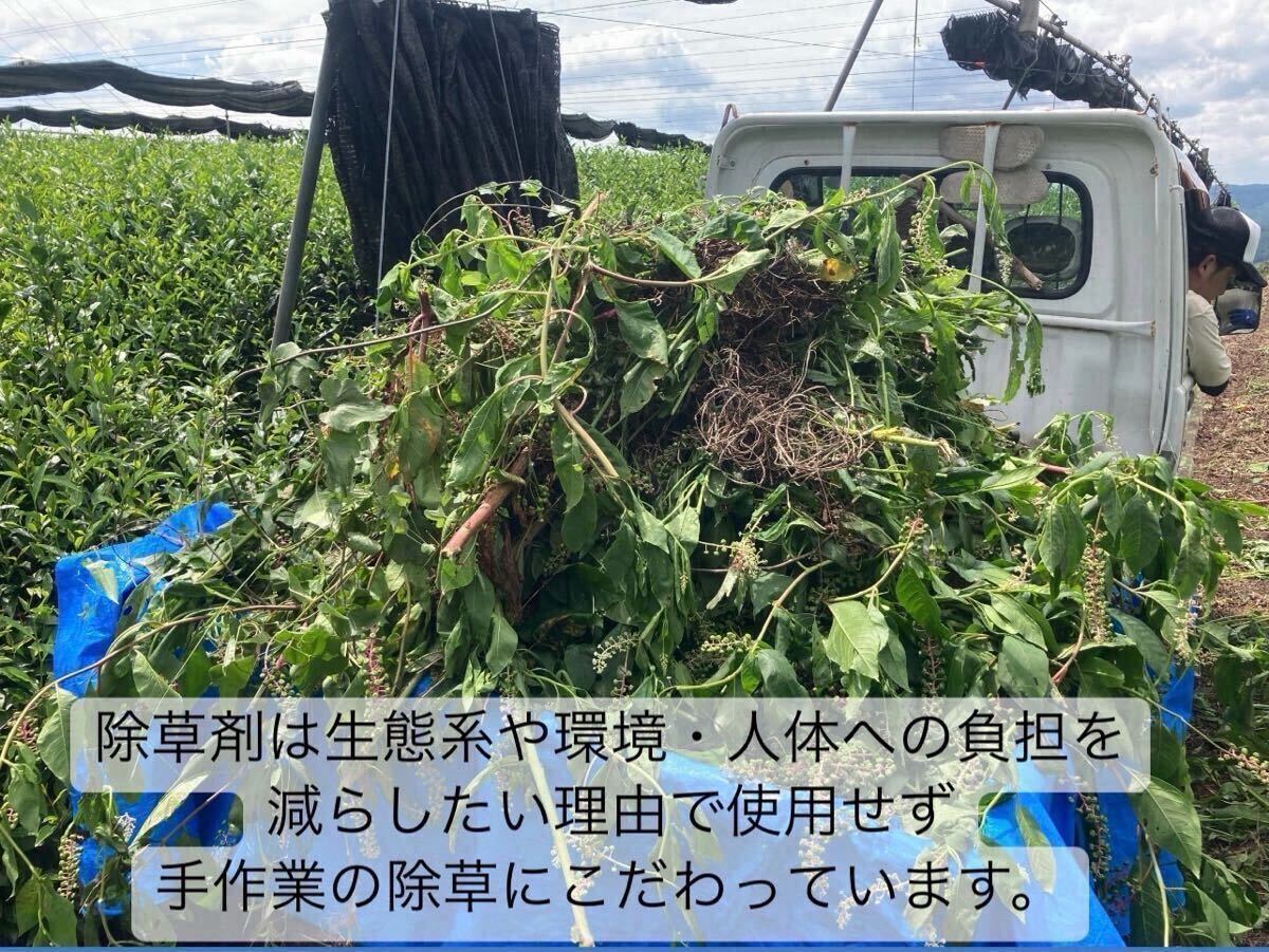 無農薬】香ばしい香りと深い甘み♪深煎りほうじ茶 1キロ