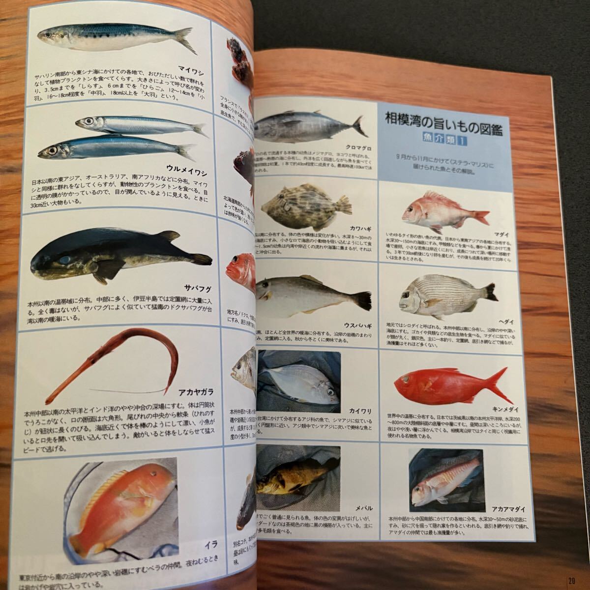 item_image_5