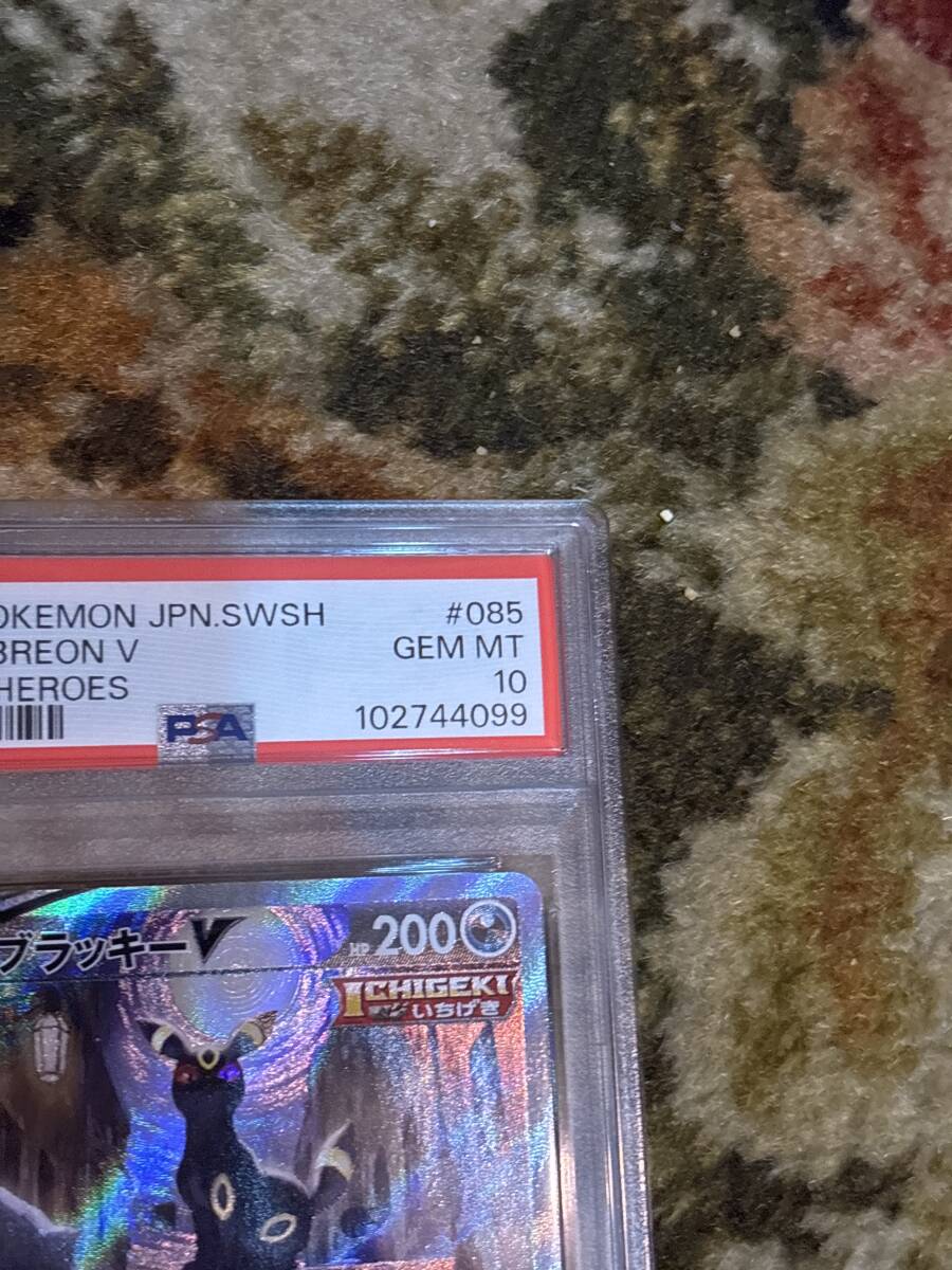 ポケモンカード ブラッキーV 085/069 SR PSA10 PSA鑑定品 ポケモンカード ブラッキーV 085/069 SR PSA10 PSA鑑定品