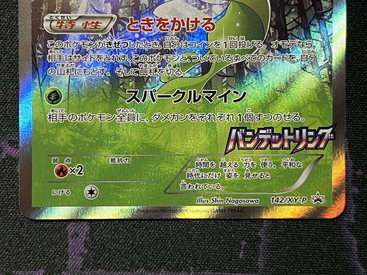 ポケモンカードゲーム XY プロモ 拡張パック バンデットリング ポケモンカードゲーム XY プロモ 拡張パック バンデットリング