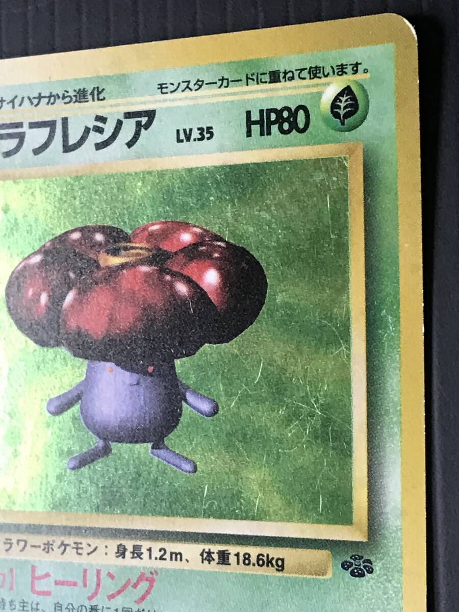 ポケモンカード 旧裏 第2弾 ポケモンジャングル ラフレシア Lv ポケモンカード 旧裏 第2弾 ポケモンジャングル ラフレシア Lv