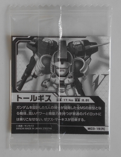 MG3-19 R トールギス にふぉるめーしょん 機動戦士ガンダム MG3-19 R トールギス にふぉるめーしょん 機動戦士ガンダム