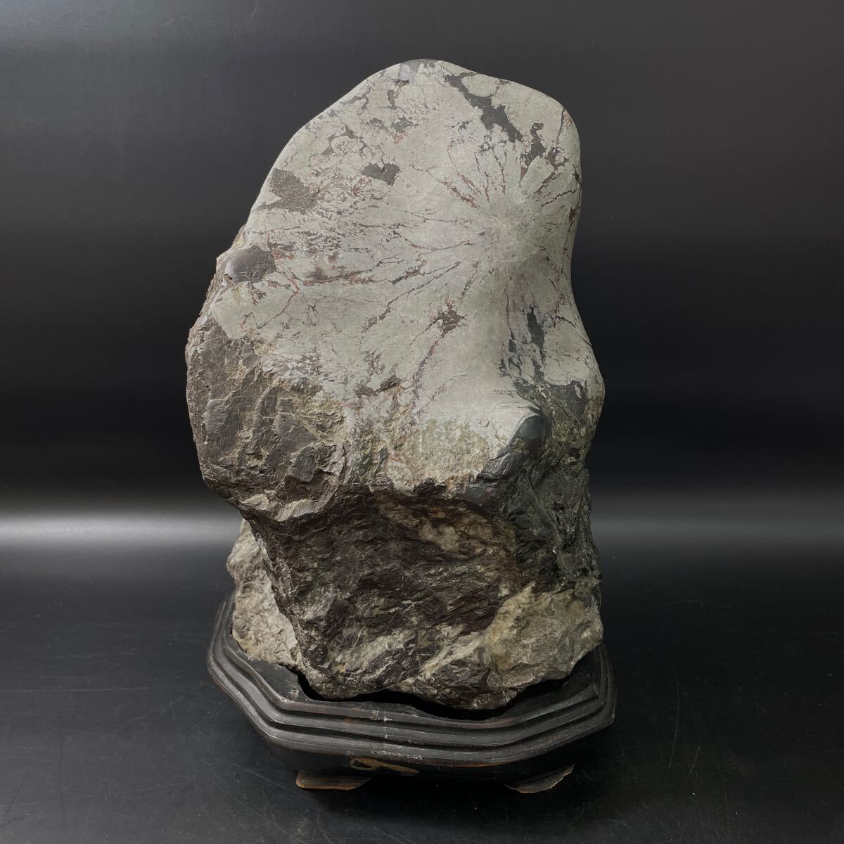 古美術品 菊花石 32cm 約12.5kg 唐木台座付 検)鑑賞石 天然石 古美術品 菊花石 32cm 約12.5kg 唐木台座付 検)鑑賞石 天然石