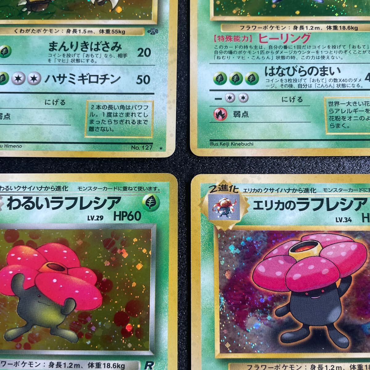 ポケモンカード 旧裏面 わるいラフレシア エリカのラフレシア ポケモンカード 旧裏面 わるいラフレシア エリカのラフレシア