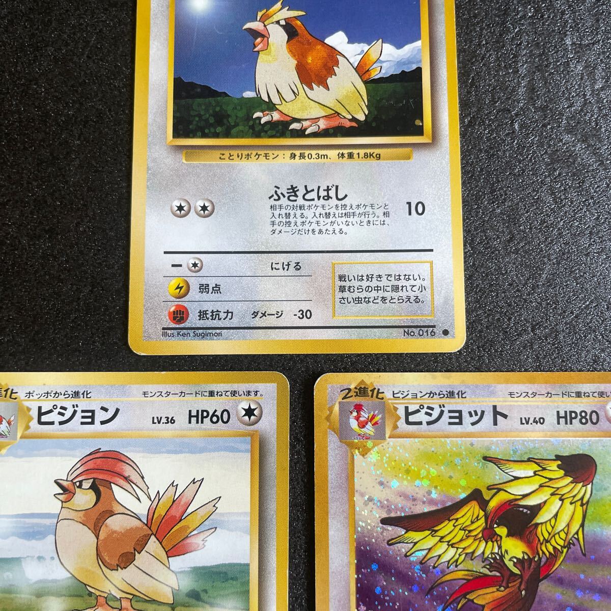 ポケモンカード 旧裏面 ポッポ ピジョン ピジョット No.4511 ポケモンカード 旧裏面 ポッポ ピジョン ピジョット No.4511