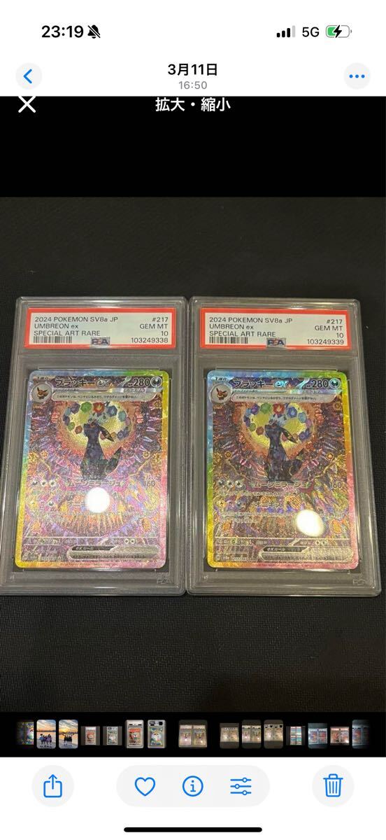 PSA10 連番】ブラッキー ex SAR sv8a 217 テラスタルフェス 2連 PSA10 連番】ブラッキー ex SAR sv8a 217 テラスタルフェス 2連