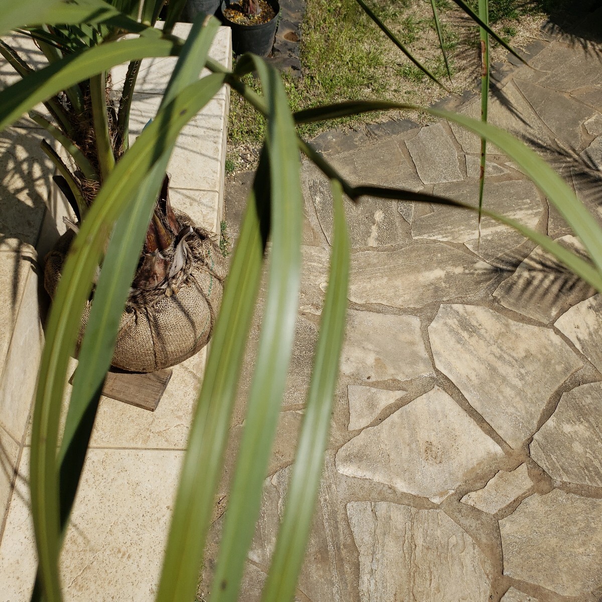 item_image_9