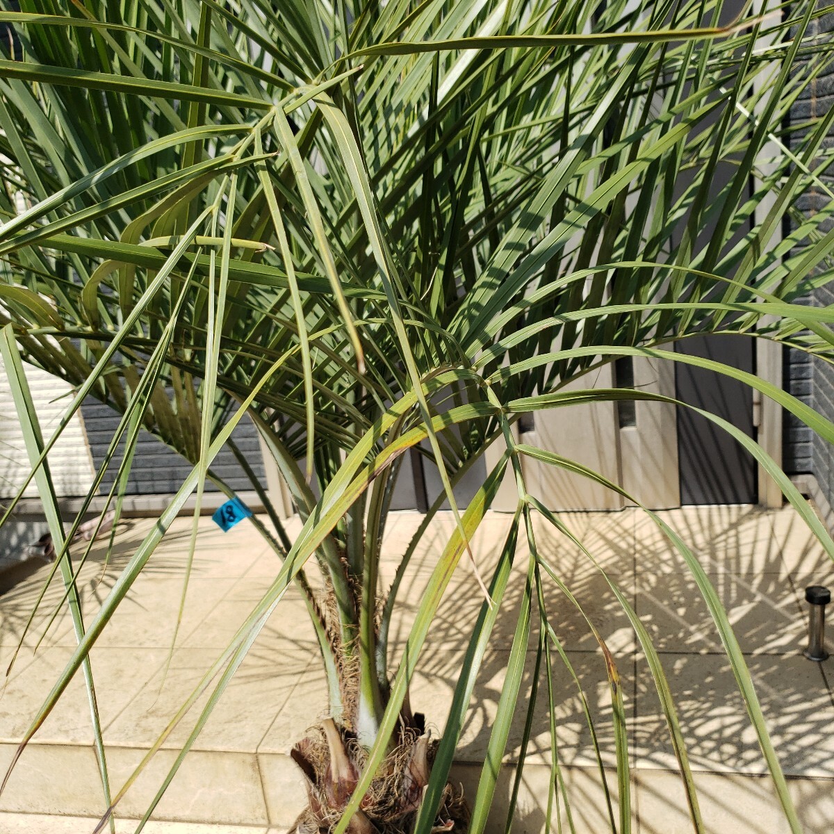item_image_7