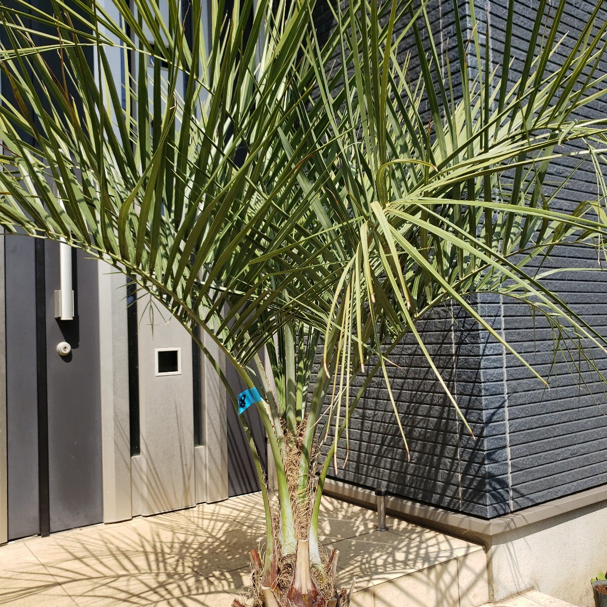 item_image_9