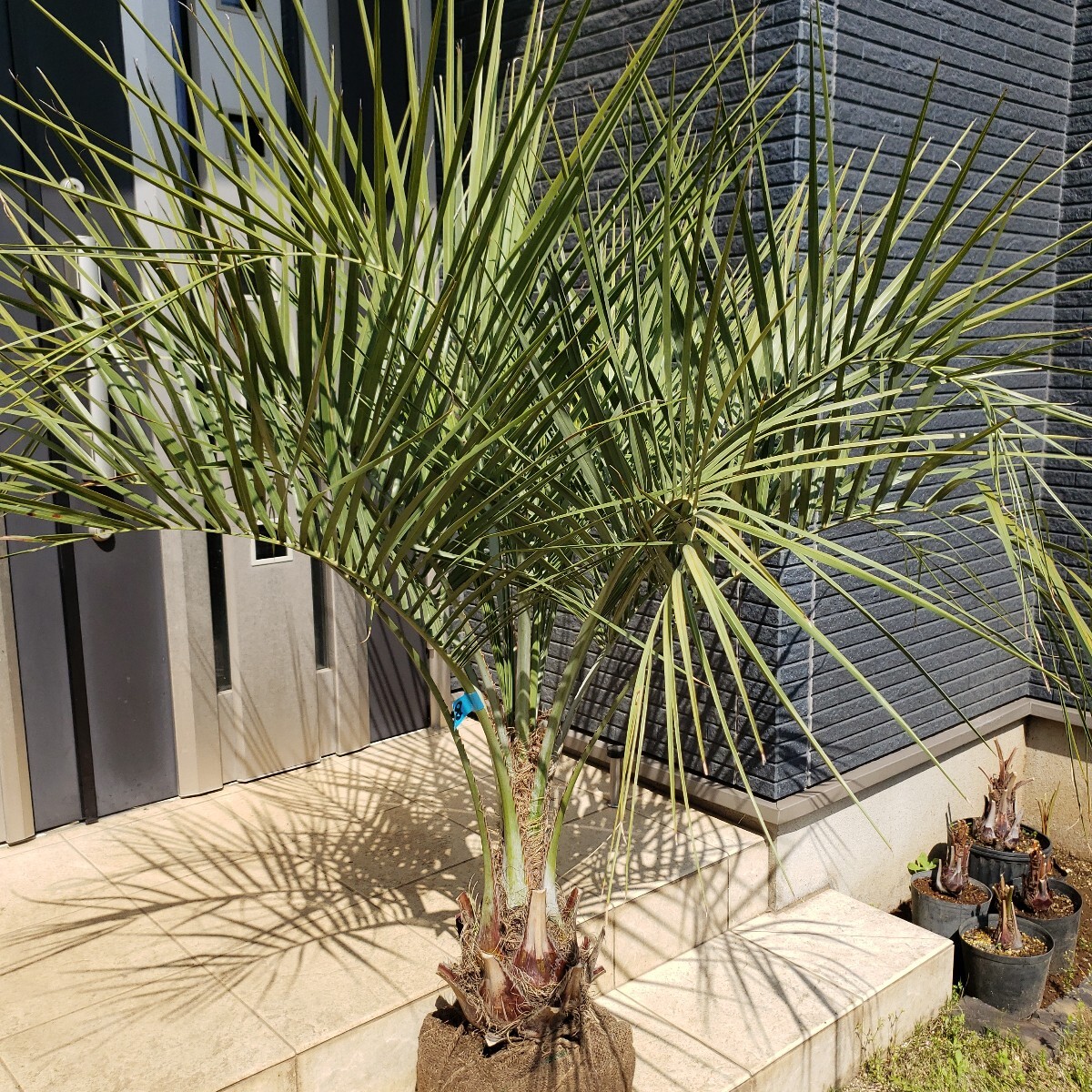 item_image_10