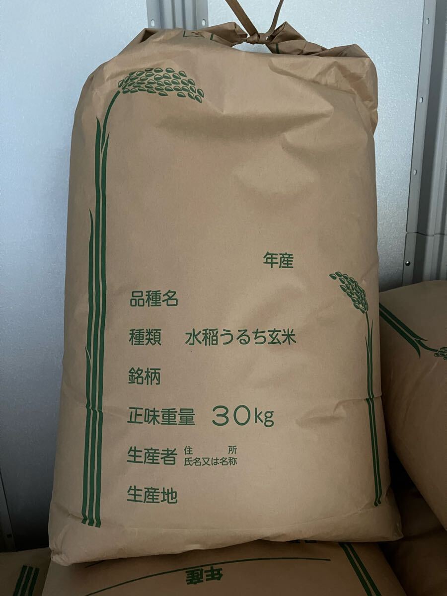 令和6年千葉コシヒカリ玄米 30kg 米専用保冷庫保管(コシヒカリ 令和6年千葉コシヒカリ玄米 30kg 米専用保冷庫保管(コシヒカリ