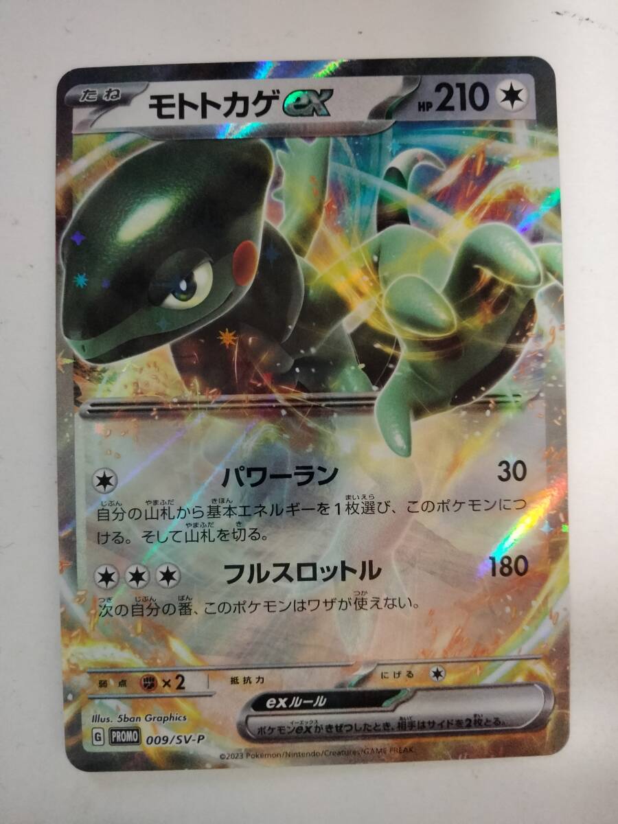 ポケモンカード モトトカゲex PROMO プロモ 009/SV-P(シングル ポケモンカード モトトカゲex PROMO プロモ 009/SV-P(シングル
