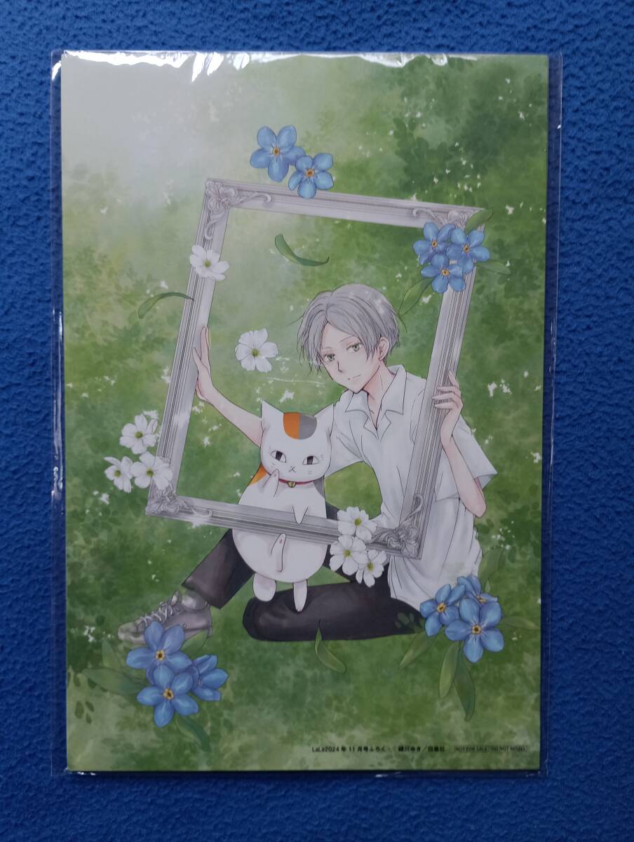 夏目友人帳」クリアファイル&複製原画セット/緑川ゆき/LaLaふ 夏目友人帳」クリアファイル&複製原画セット/緑川ゆき/LaLaふ