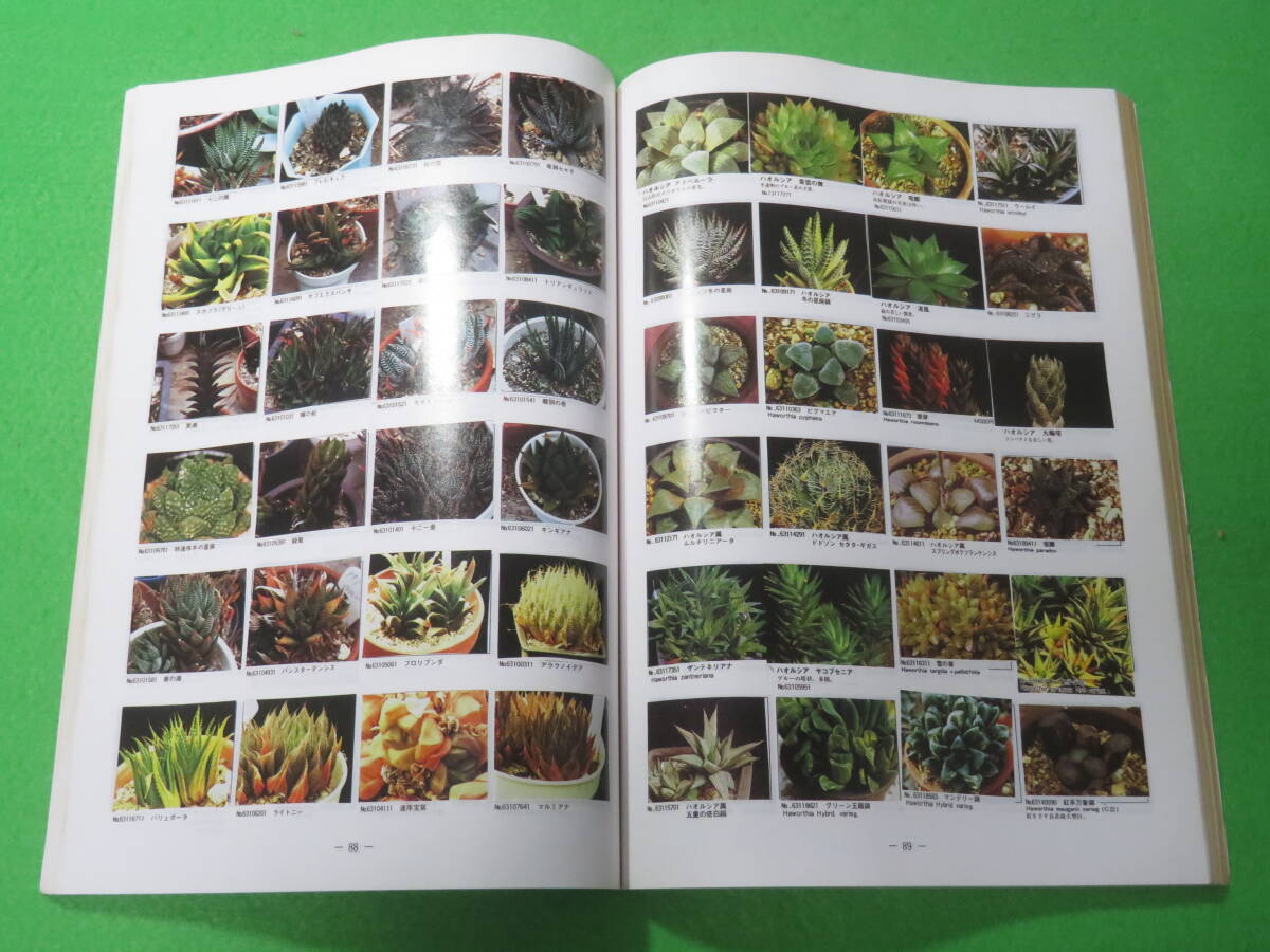item_image_6