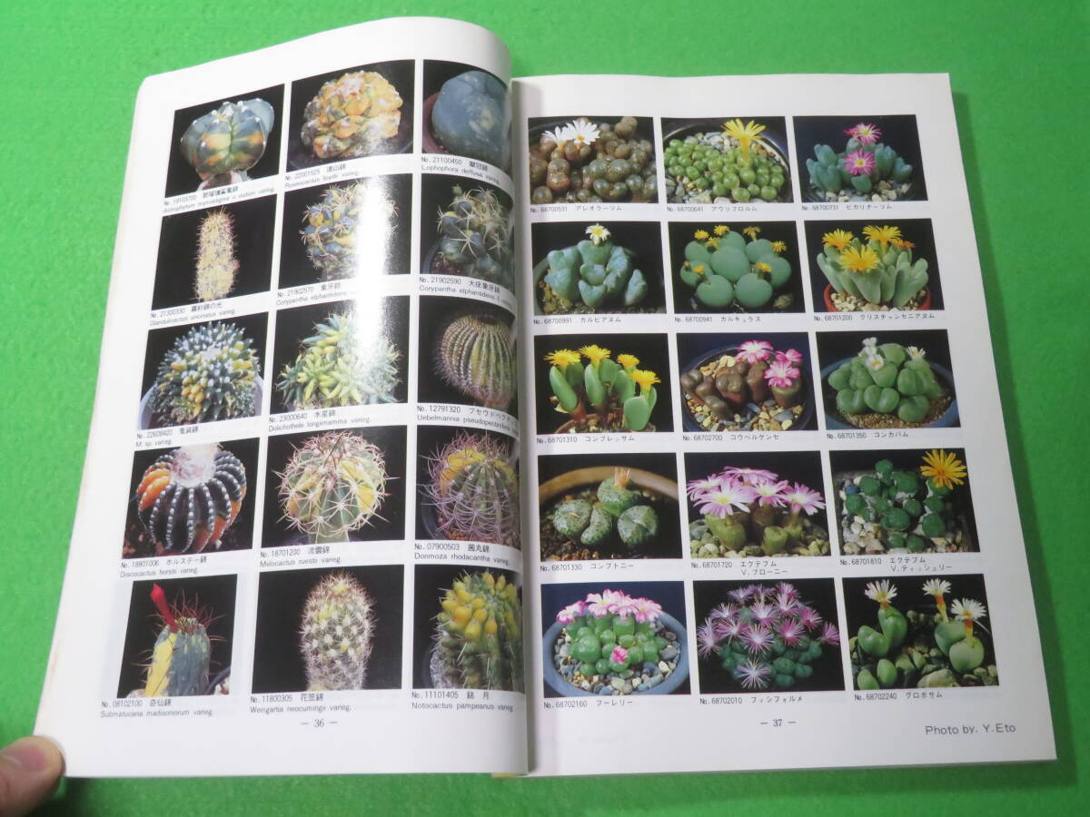 item_image_5