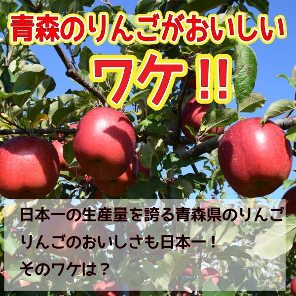 青森県産 りんご スマートフレッシュ! 5kgセット 王林2.5kg7-13 青森県産 りんご スマートフレッシュ! 5kgセット 王林2.5kg7-13