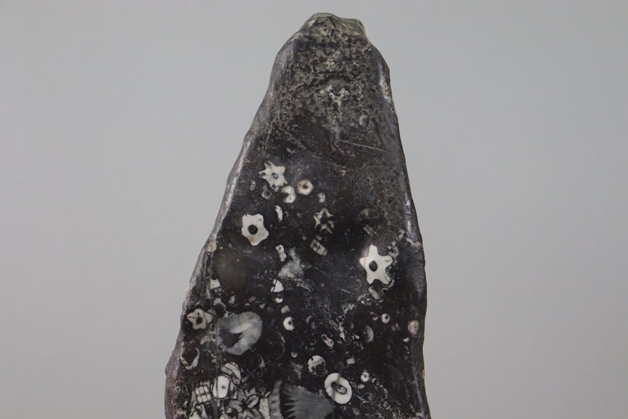 希少石 天然記念物 北九州 門司産 梅花石 台付 高51cm 重10,6kg 希少石 天然記念物 北九州 門司産 梅花石 台付 高51cm 重10,6kg
