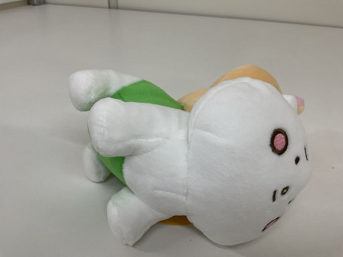 05 【現状】 ちいかわ ちいかわらんど ぴーぽぽぬいぐるみ 05 【現状】 ちいかわ ちいかわらんど ぴーぽぽぬいぐるみ