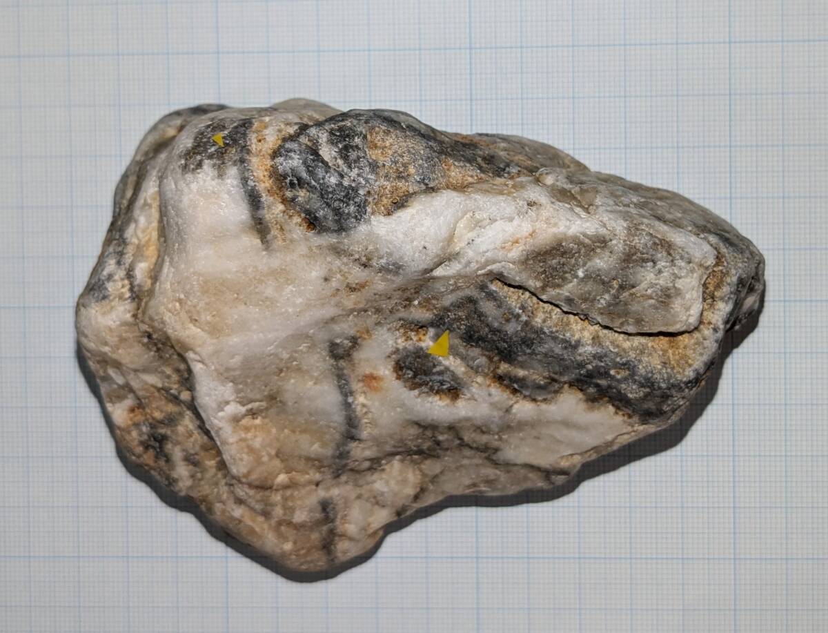 世界遺産 佐渡金山 大正時代採集品 紫色石英を伴う金銀石英脈