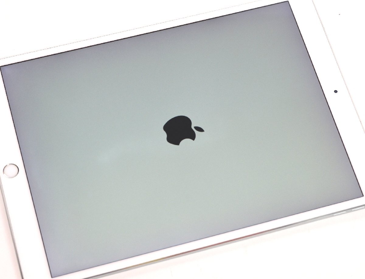 1円スタート!送料込み ジャンク品 iPad Pro 10.5インチ 512GB 1円スタート!送料込み ジャンク品 iPad Pro 10.5インチ 512GB