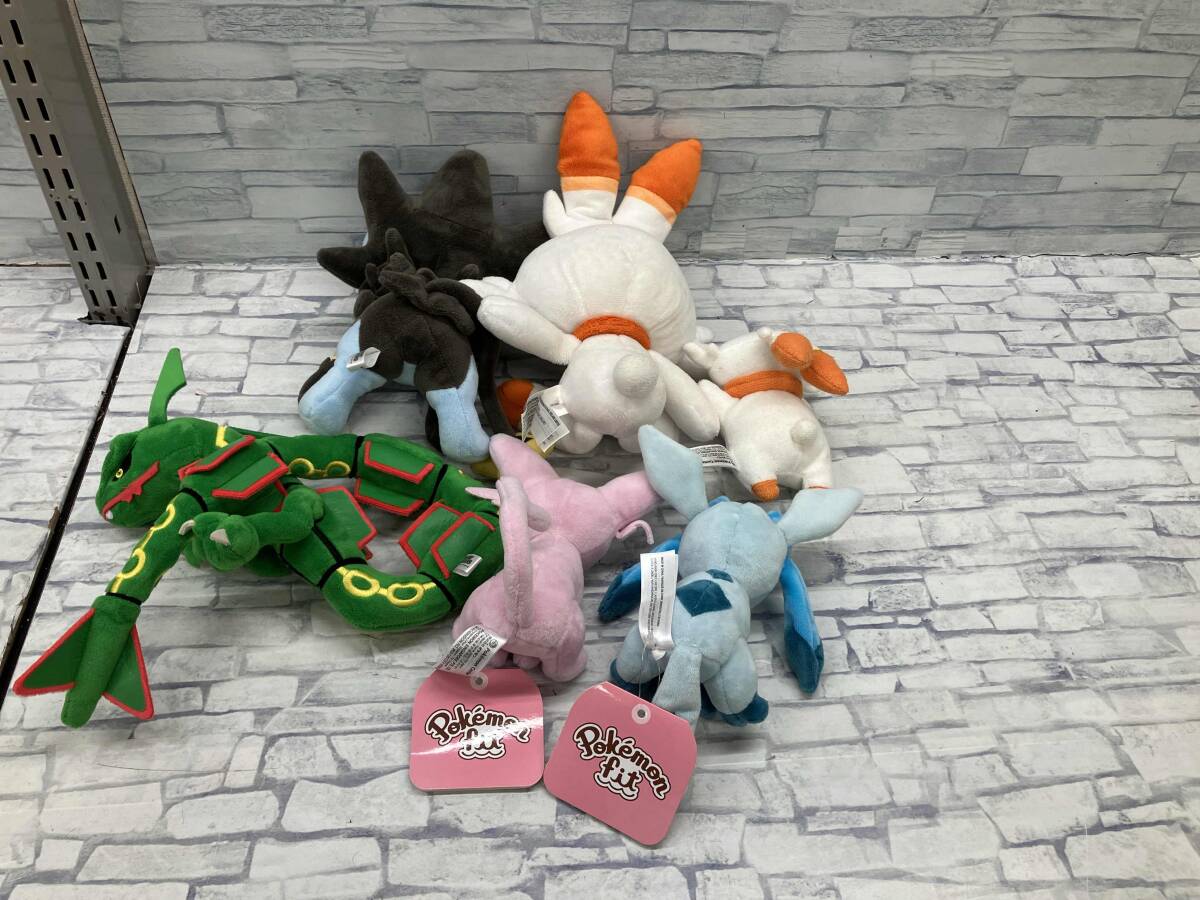 現状品 ポケモン ぬいぐるみ fit ポケセン込み まとめ売り 現状品 ポケモン ぬいぐるみ fit ポケセン込み まとめ売り