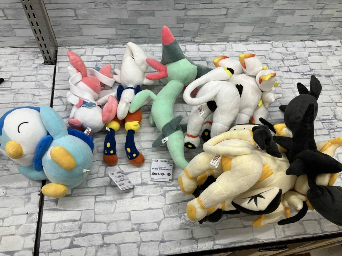 現状品 ポケモン ぬいぐるみ fit ポケセン込み まとめ売り 現状品 ポケモン ぬいぐるみ fit ポケセン込み まとめ売り