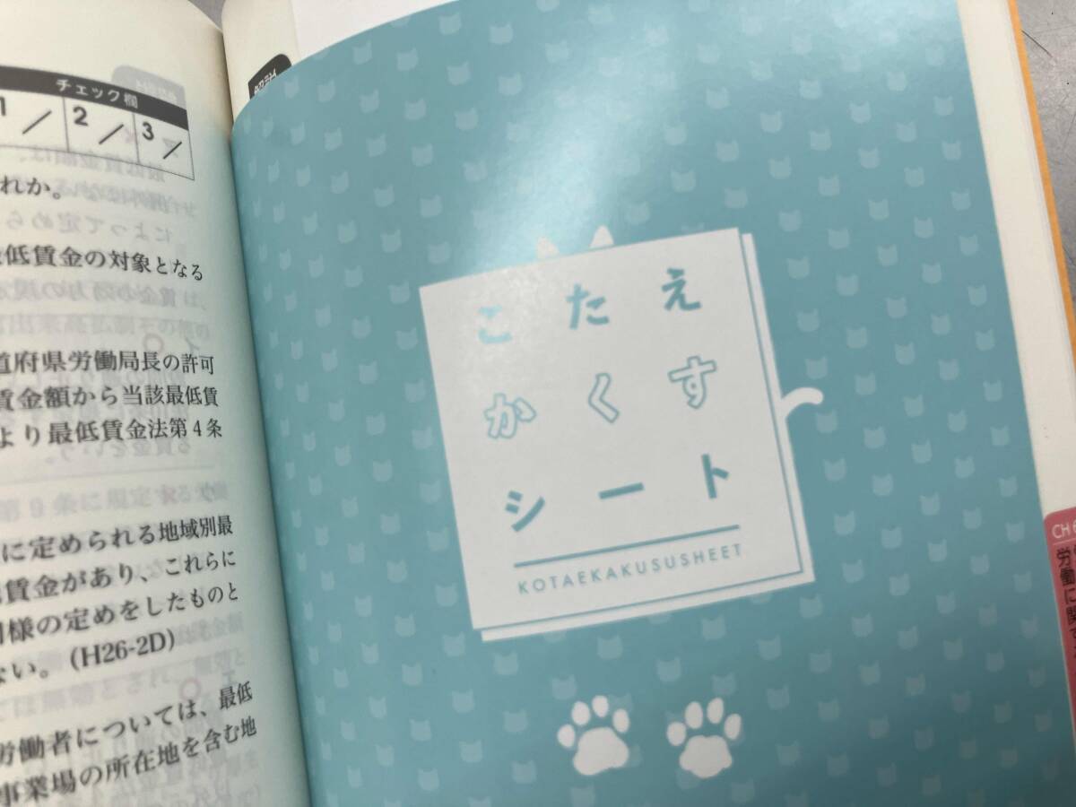  все .. только ..! Labor and Social Security Attorney. рабочая тетрадь (2024 года выпуск ) TAC специалист по социальному страхованию курс 