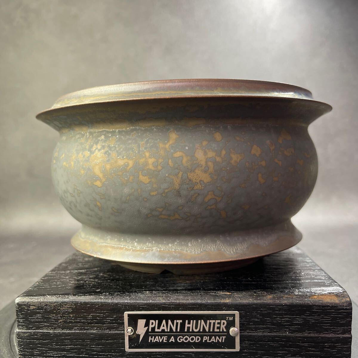 さ025 HAND Made 植木鉢 6号 陶器検(アガベ パキプス 姫巌竜 さ025 HAND Made 植木鉢 6号 陶器検(アガベ パキプス 姫巌竜