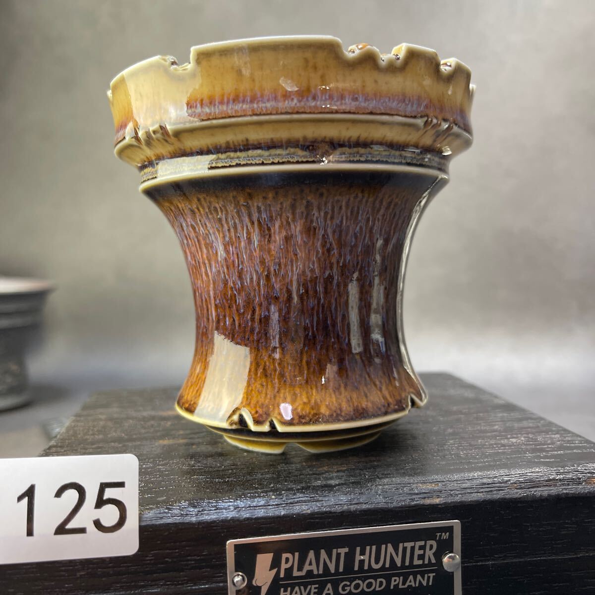 さ125 HAND Made 植木鉢 陶器検(アガベ パキプス 姫巌竜 帝釈天 さ125 HAND Made 植木鉢 陶器検(アガベ パキプス 姫巌竜 帝釈天