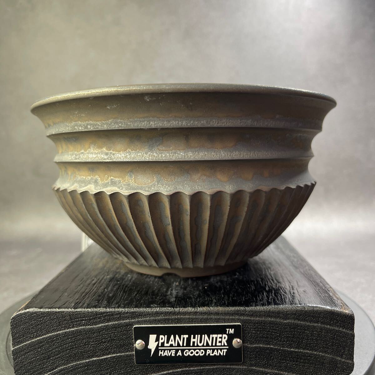 さ181 HAND Made 植木鉢 6号 陶器検(アガベ パキプス 姫巌竜 さ181 HAND Made 植木鉢 6号 陶器検(アガベ パキプス 姫巌竜