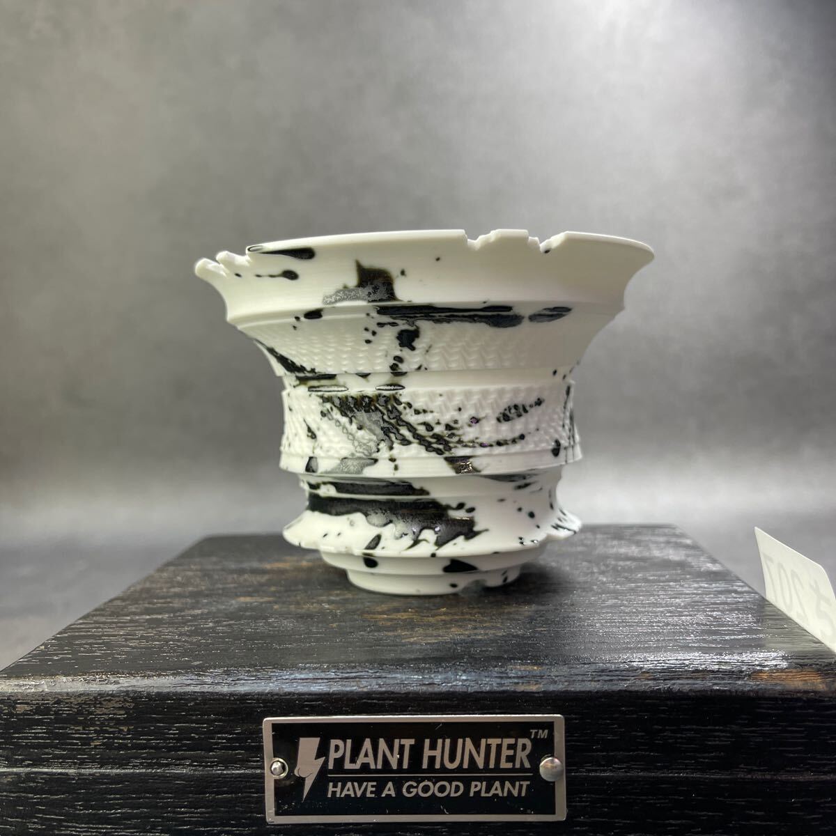 さ207 HAND Made 植木鉢 陶器検(アガベ パキプス 姫巌竜 帝釈天 さ207 HAND Made 植木鉢 陶器検(アガベ パキプス 姫巌竜 帝釈天