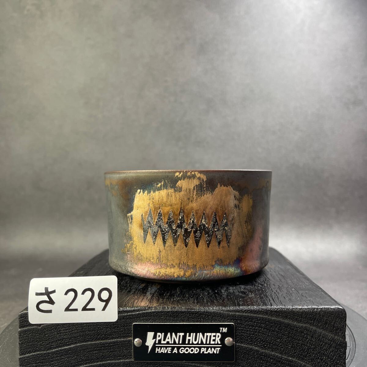 さ229 HAND Made 植木鉢 陶器検(アガベ パキプス 姫巌竜 帝釈天 さ229 HAND Made 植木鉢 陶器検(アガベ パキプス 姫巌竜 帝釈天