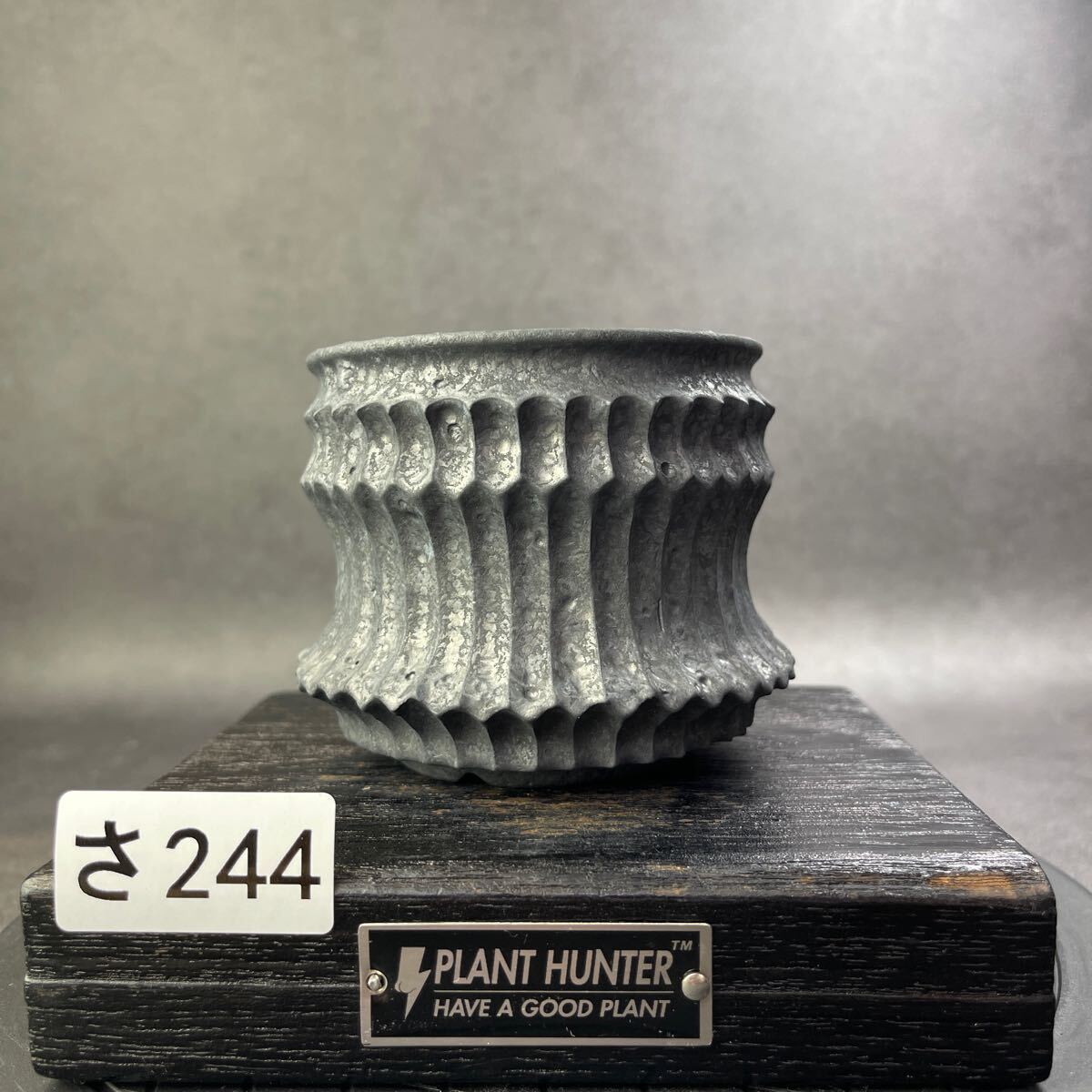 さ244 HAND Made 植木鉢 陶器検(アガベ パキプス 姫巌竜 帝釈天 さ244 HAND Made 植木鉢 陶器検(アガベ パキプス 姫巌竜 帝釈天