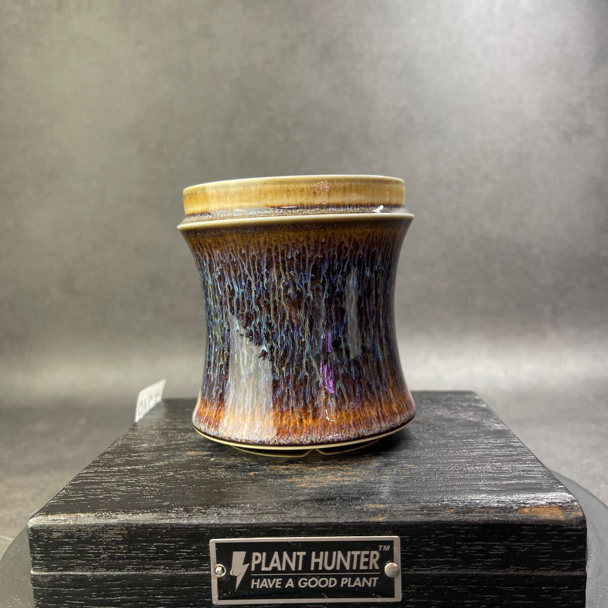 さ249 HAND Made 植木鉢 陶器検(アガベ パキプス 姫巌竜 帝釈天 さ249 HAND Made 植木鉢 陶器検(アガベ パキプス 姫巌竜 帝釈天