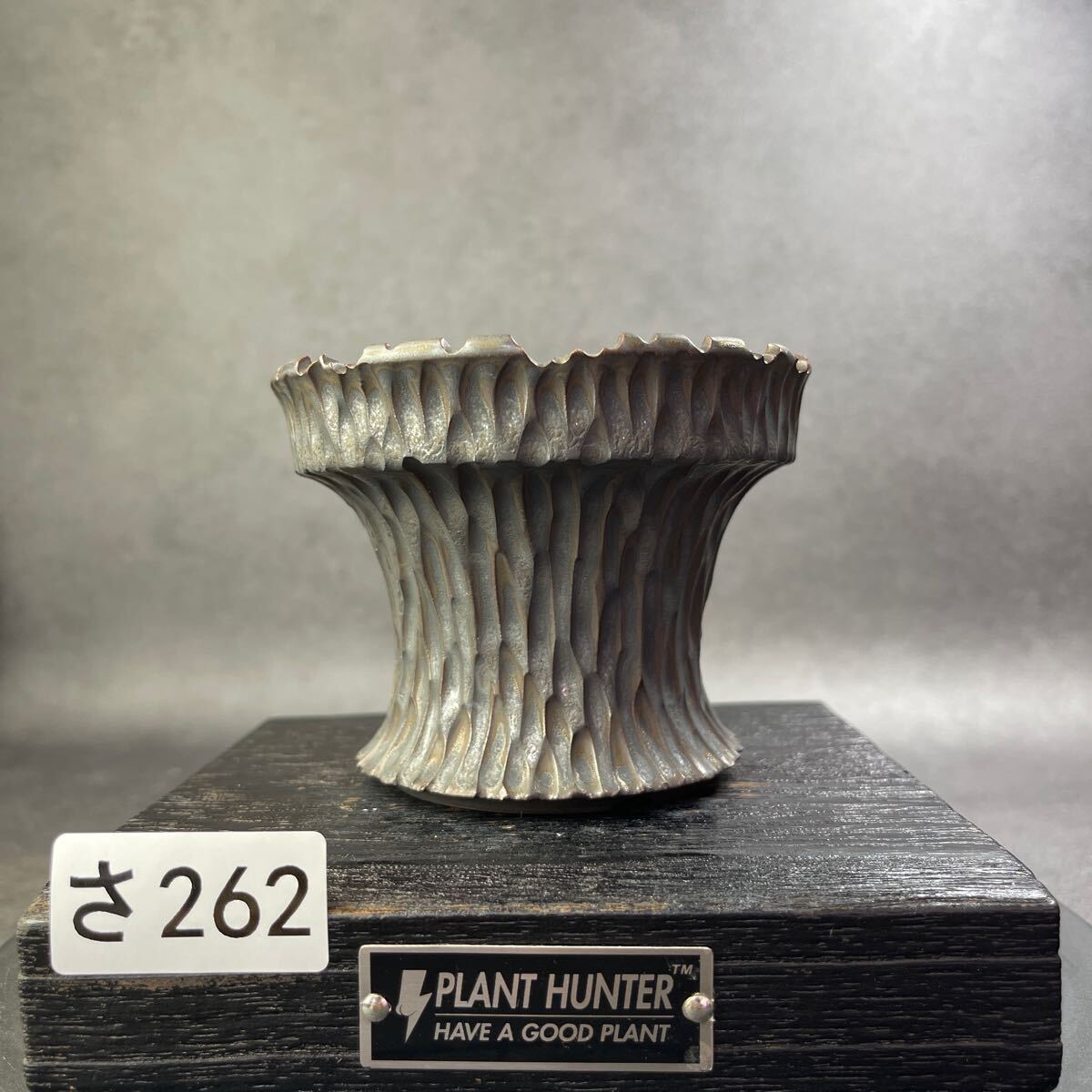 さ262 HAND Made 植木鉢 陶器検(アガベ パキプス 姫巌竜 帝釈天 さ262 HAND Made 植木鉢 陶器検(アガベ パキプス 姫巌竜 帝釈天