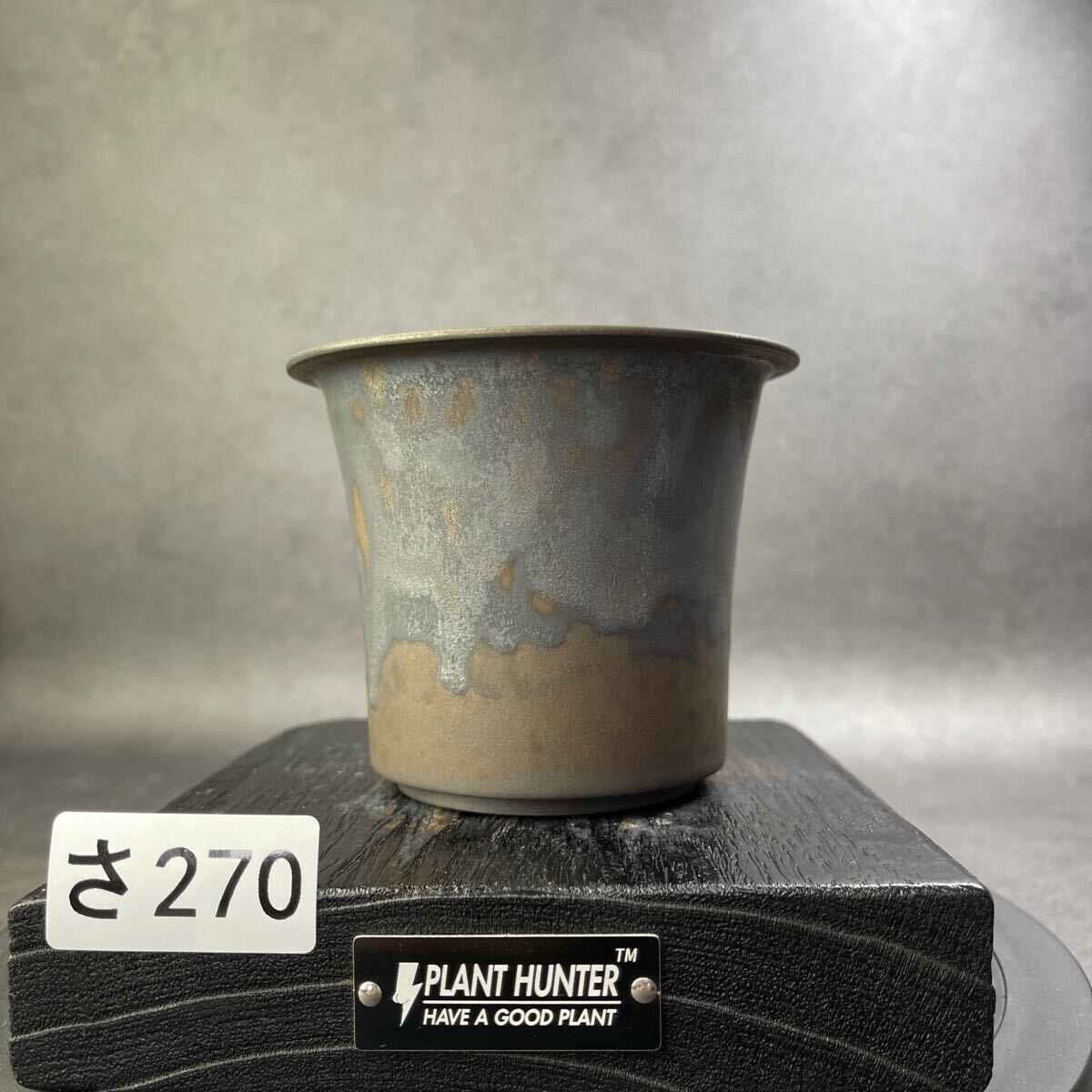 さ270 HAND Made 植木鉢 陶器検(アガベ パキプス 姫巌竜 帝釈天 さ270 HAND Made 植木鉢 陶器検(アガベ パキプス 姫巌竜 帝釈天
