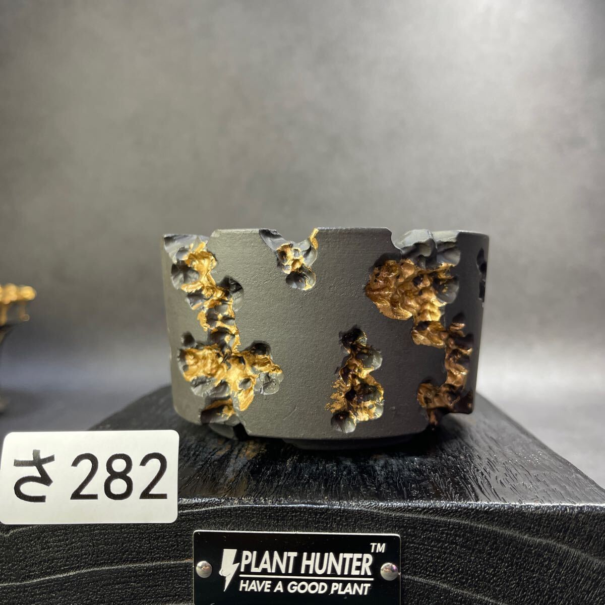 さ282 HAND Made 植木鉢 陶器検（アガベ パキプス 姫巌竜 帝釈天