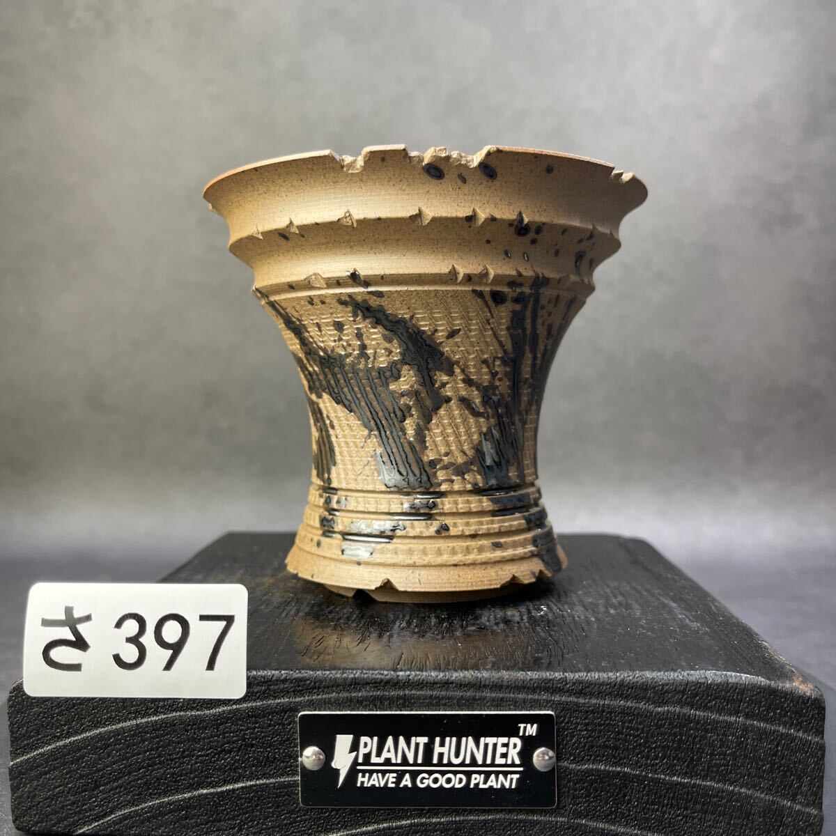 さ397 HAND Made 植木鉢 陶器検(アガベ パキプス 姫巌竜 帝釈天 さ397 HAND Made 植木鉢 陶器検(アガベ パキプス 姫巌竜 帝釈天