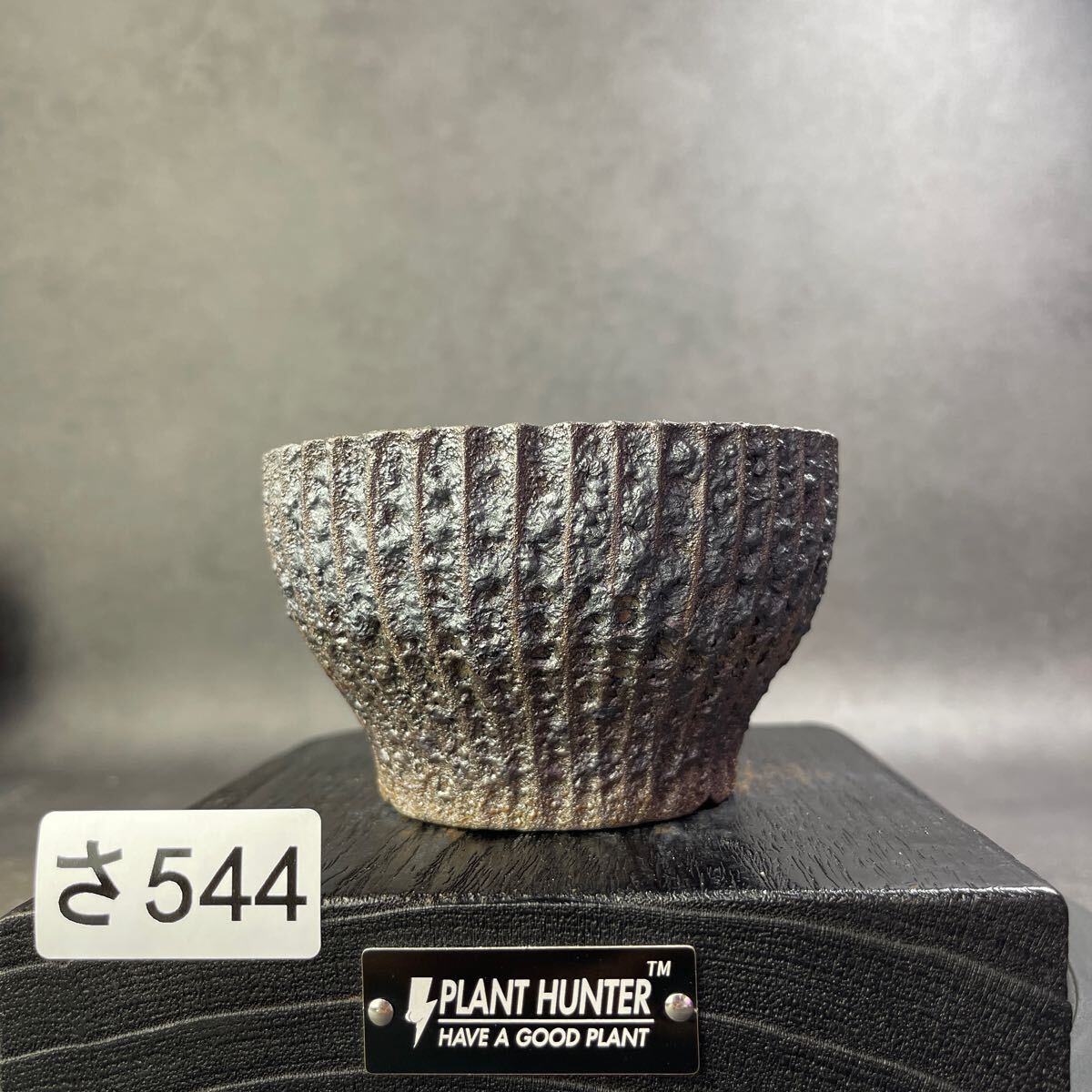 さ544 HAND Made 植木鉢 陶器検(アガベ パキプス 姫巌竜 帝釈天 さ544 HAND Made 植木鉢 陶器検(アガベ パキプス 姫巌竜 帝釈天