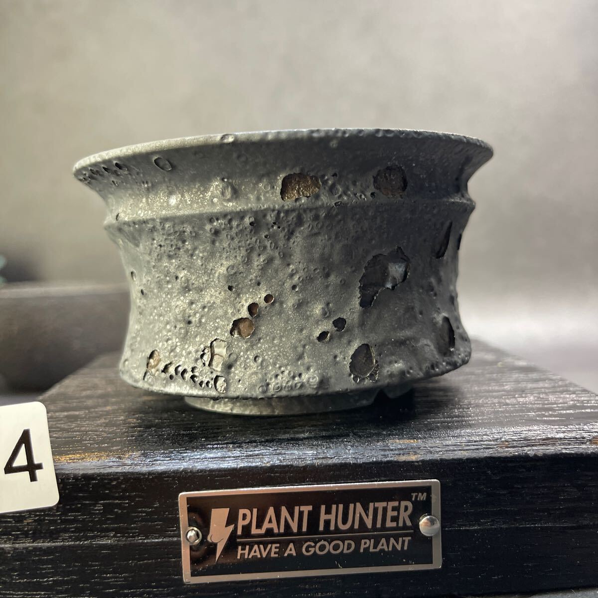 さ574 HAND Made 植木鉢 陶器検（アガベ パキプス 姫巌竜 帝釈天