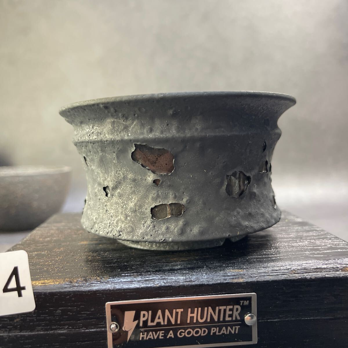 さ574 HAND Made 植木鉢 陶器検(アガベ パキプス 姫巌竜 帝釈天 さ574 HAND Made 植木鉢 陶器検(アガベ パキプス 姫巌竜 帝釈天