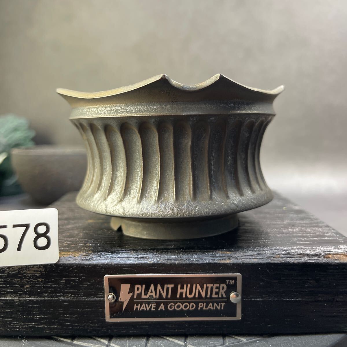 さ578 HAND Made 植木鉢 陶器検(アガベ パキプス 姫巌竜 帝釈天 さ578 HAND Made 植木鉢 陶器検(アガベ パキプス 姫巌竜 帝釈天
