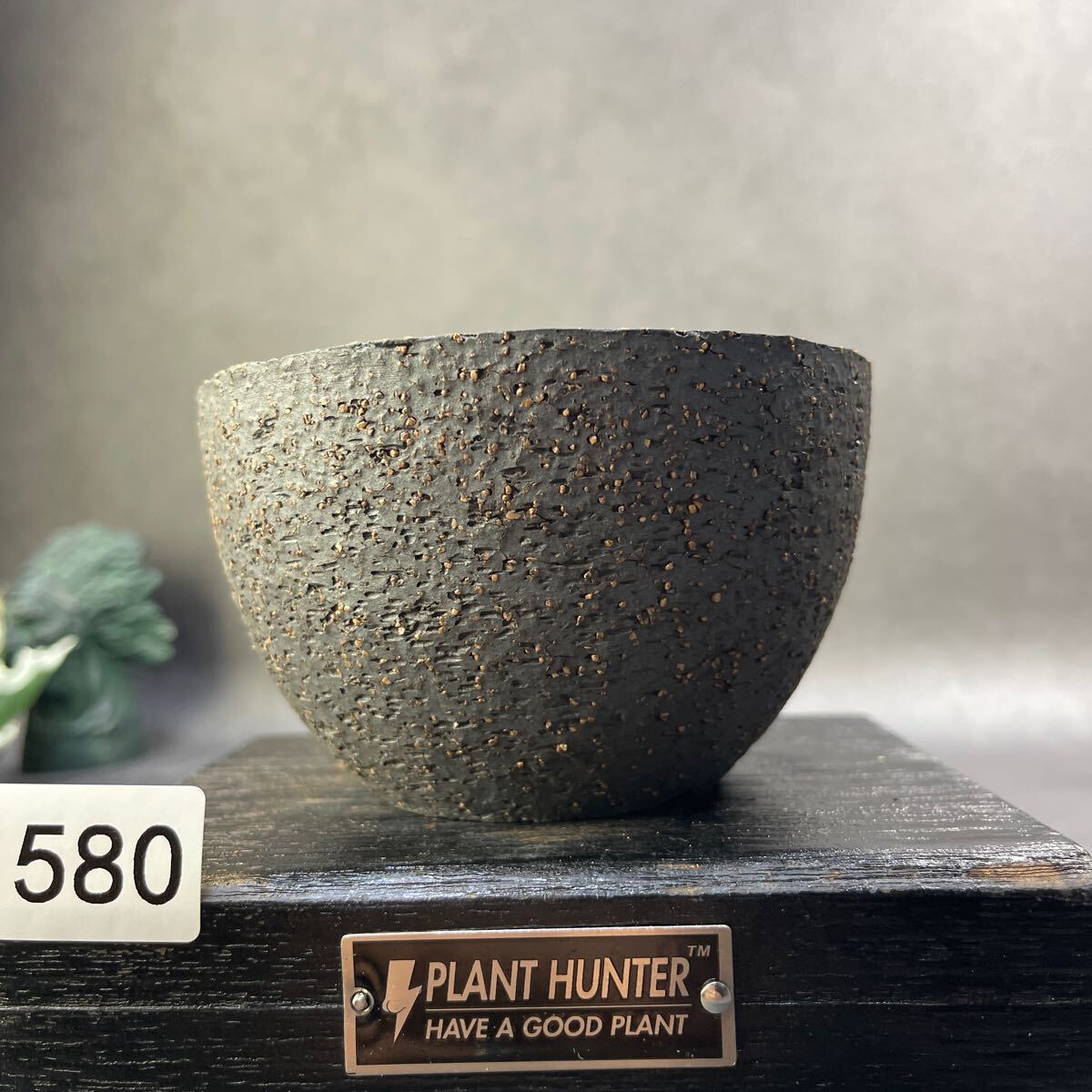 さ580 HAND Made 植木鉢 陶器検(アガベ パキプス 姫巌竜 帝釈天 さ580 HAND Made 植木鉢 陶器検(アガベ パキプス 姫巌竜 帝釈天