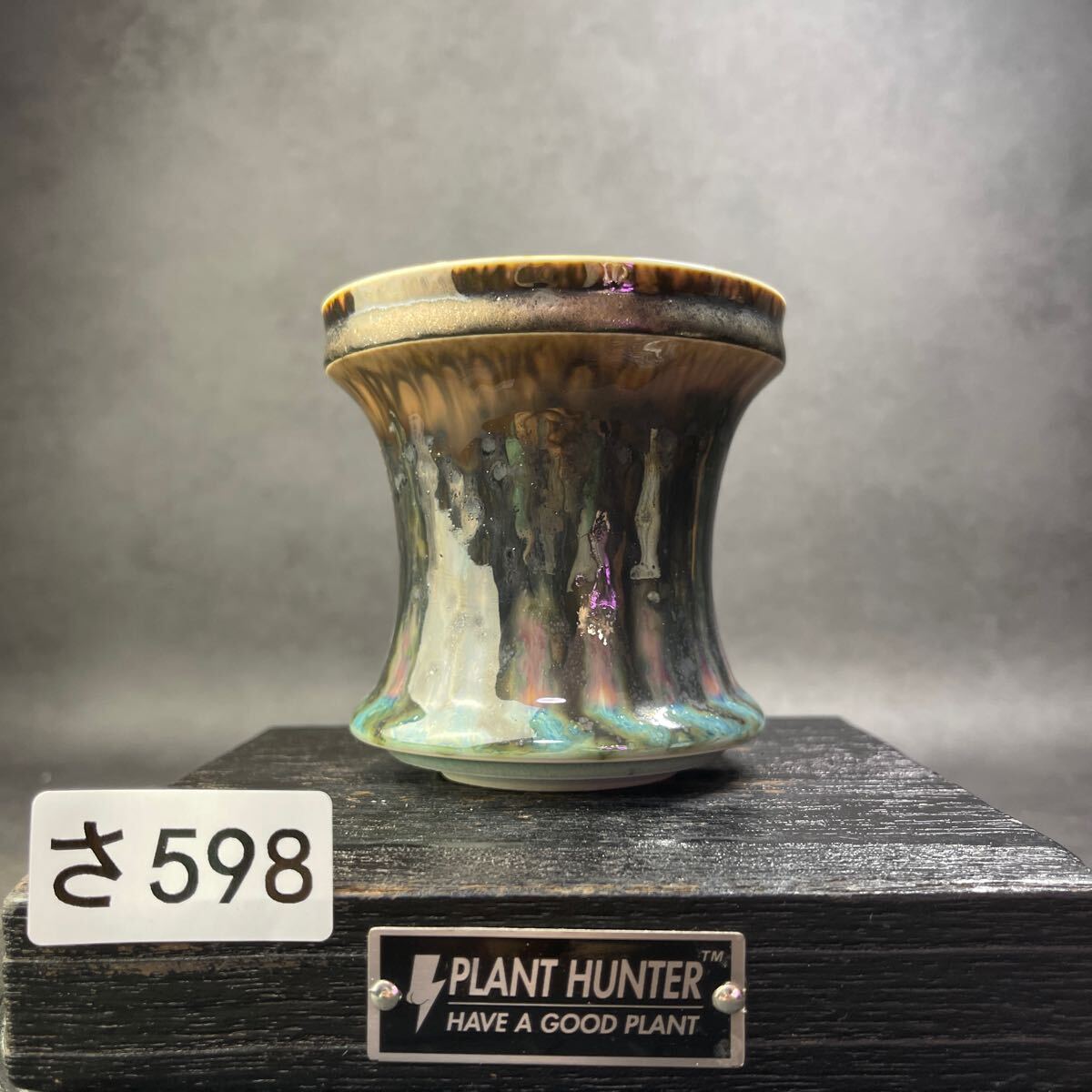 さ598 HAND Made 植木鉢 陶器検(アガベ パキプス 姫巌竜 帝釈天 さ598 HAND Made 植木鉢 陶器検(アガベ パキプス 姫巌竜 帝釈天