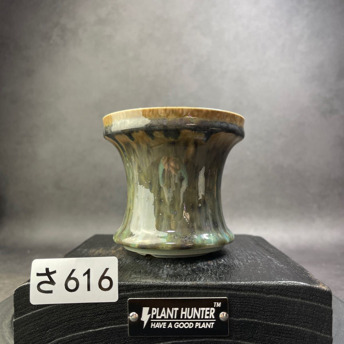 さ616 HAND Made 植木鉢 陶器検(アガベ パキプス 姫巌竜 帝釈天 さ616 HAND Made 植木鉢 陶器検(アガベ パキプス 姫巌竜 帝釈天