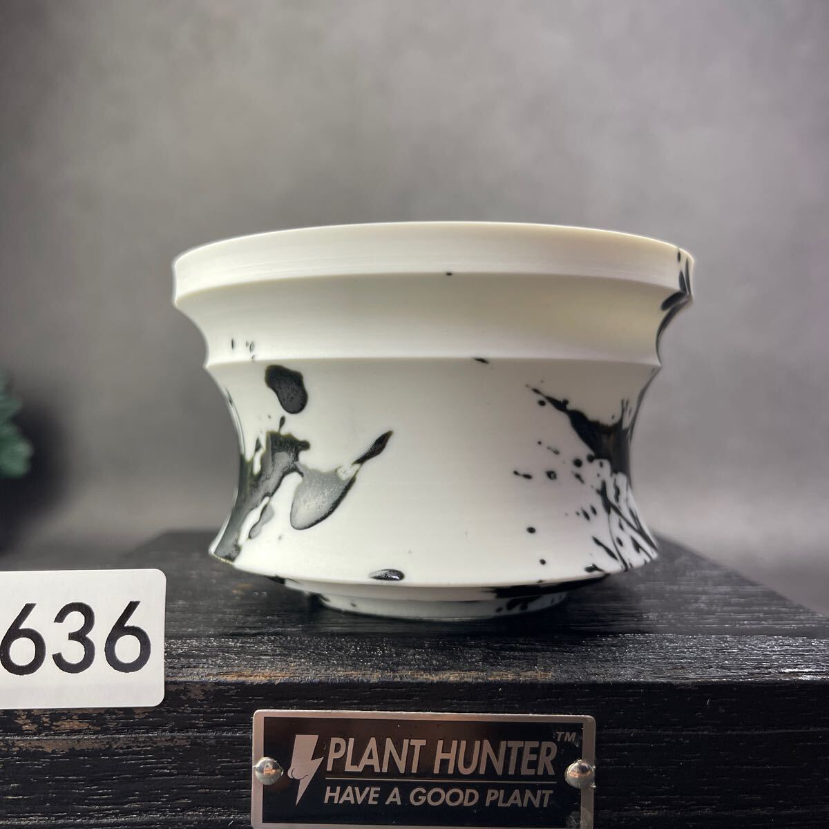 さ636 HAND Made 植木鉢 陶器検(アガベ パキプス 姫巌竜 帝釈天 さ636 HAND Made 植木鉢 陶器検(アガベ パキプス 姫巌竜 帝釈天