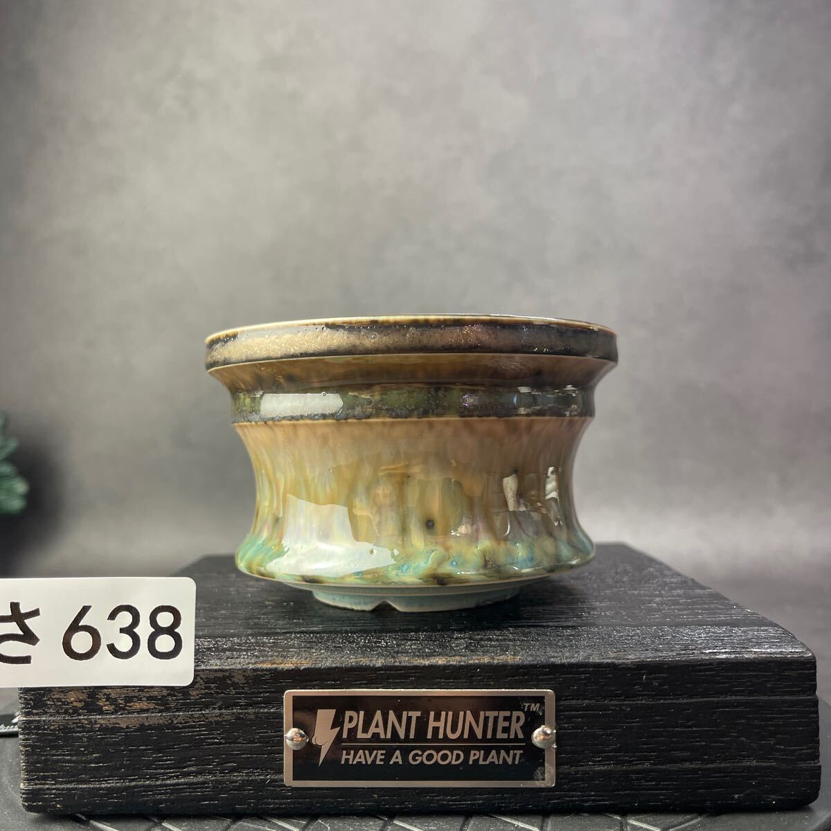 さ638 HAND Made 植木鉢 陶器検(アガベ パキプス 姫巌竜 帝釈天 さ638 HAND Made 植木鉢 陶器検(アガベ パキプス 姫巌竜 帝釈天
