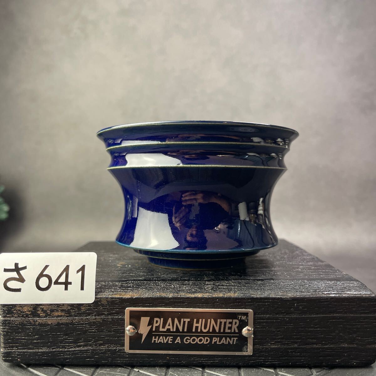 さ641 HAND Made 植木鉢 陶器検(アガベ パキプス 姫巌竜 帝釈天 さ641 HAND Made 植木鉢 陶器検(アガベ パキプス 姫巌竜 帝釈天