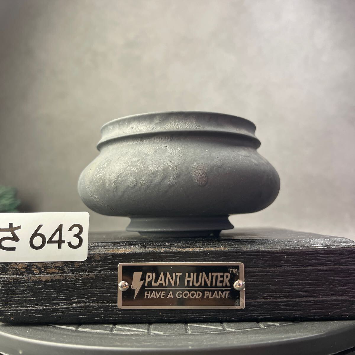 さ643 HAND Made 植木鉢 陶器検(アガベ パキプス 姫巌竜 帝釈天 さ643 HAND Made 植木鉢 陶器検(アガベ パキプス 姫巌竜 帝釈天