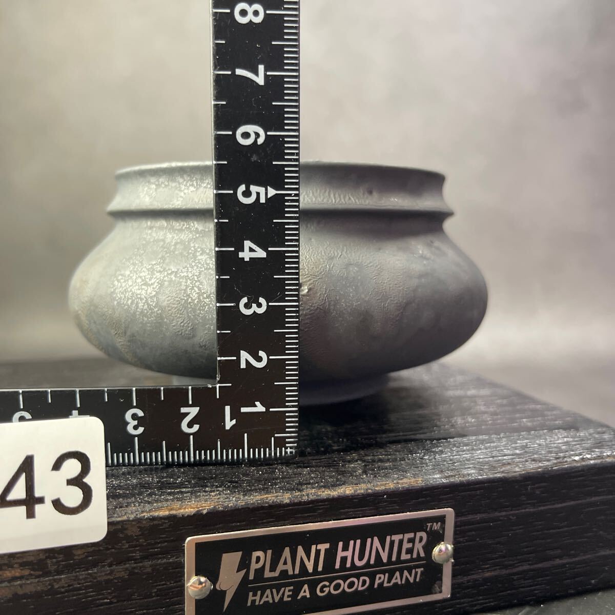 さ643 HAND Made 植木鉢 陶器検(アガベ パキプス 姫巌竜 帝釈天 さ643 HAND Made 植木鉢 陶器検(アガベ パキプス 姫巌竜 帝釈天